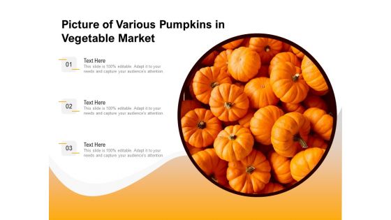 Picture Of Various Pumpkins In Vegetable Market Ppt PowerPoint Presentation Gallery Professional PDF