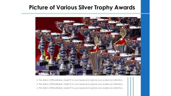 Picture Of Various Silver Trophy Awards Ppt PowerPoint Presentation Gallery Professional PDF