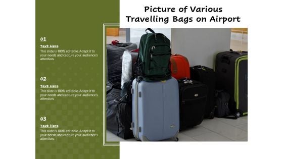 Picture Of Various Travelling Bags On Airport Ppt PowerPoint Presentation Professional Samples PDF