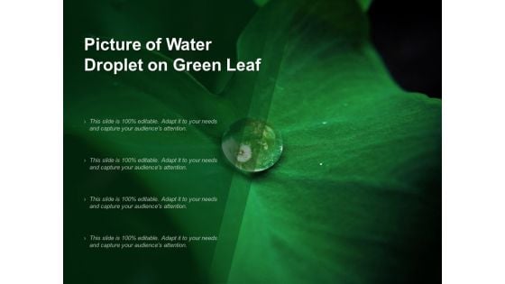 Picture Of Water Droplet On Green Leaf Ppt PowerPoint Presentation Layouts Slide