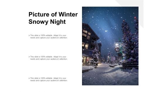 Picture Of Winter Snowy Night Ppt PowerPoint Presentation Icon Ideas