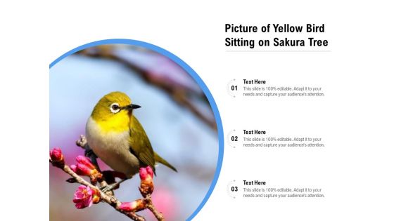 Picture Of Yellow Bird Sitting On Sakura Tree Ppt PowerPoint Presentation File Deck PDF