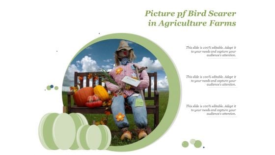 Picture Pf Bird Scarer In Agriculture Farms Ppt PowerPoint Presentation Inspiration Vector PDF