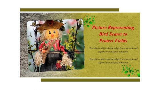 Picture Representing Bird Scarer To Protect Fields Ppt PowerPoint Presentation Visual Aids Gallery PDF