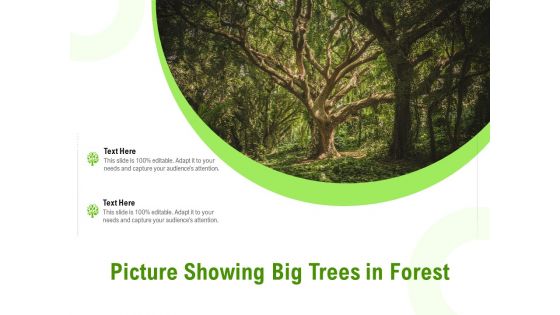 Picture Showing Big Trees In Forest Ppt Icon Summary PDF