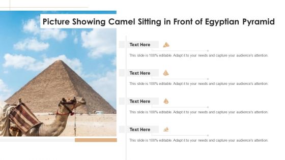 Picture Showing Camel Sitting In Front Of Egyptian Pyramid Ppt PowerPoint Presentation Icon Deck PDF
