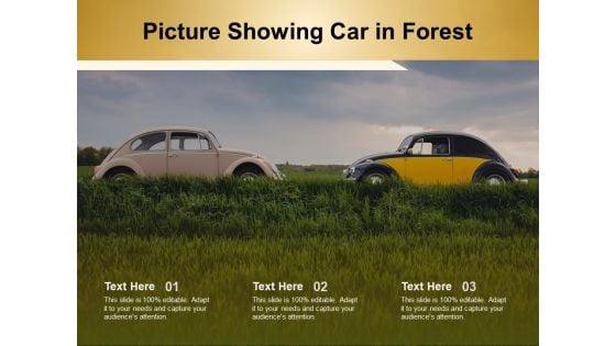 Picture Showing Car In Forest Ppt PowerPoint Presentation Professional Infographic Template PDF