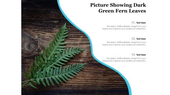 Picture Showing Dark Green Fern Leaves Ppt PowerPoint Presentation Slides Infographic Template PDF