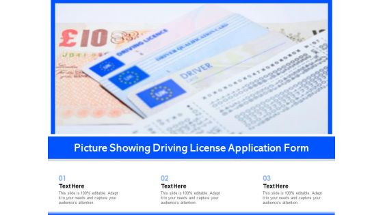 Picture Showing Driving License Application Form Ppt PowerPoint Presentation File Example Topics PDF