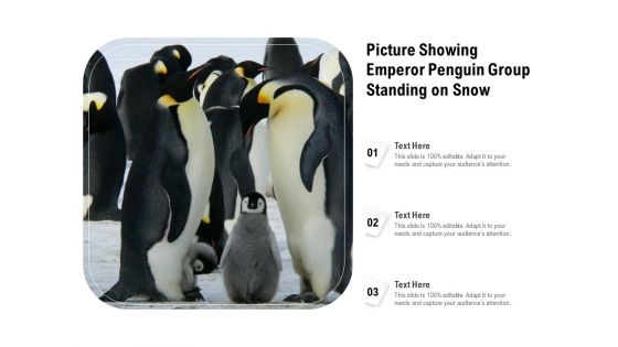 Picture Showing Emperor Penguin Group Standing On Snow Ppt PowerPoint Presentation Gallery Objects PDF