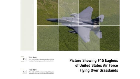 Picture Showing F15 Eagleus Of United States Air Force Flying Over Grasslands Ppt PowerPoint Presentation File Graphics Tutorials PDF