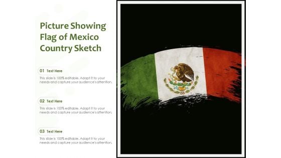 Picture Showing Flag Of Mexico Country Sketch Ppt PowerPoint Presentation Portfolio Influencers PDF