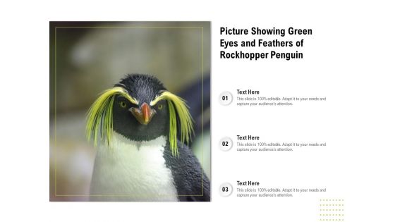 Picture Showing Green Eyes And Feathers Of Rockhopper Penguin Ppt PowerPoint Presentation Gallery Professional PDF