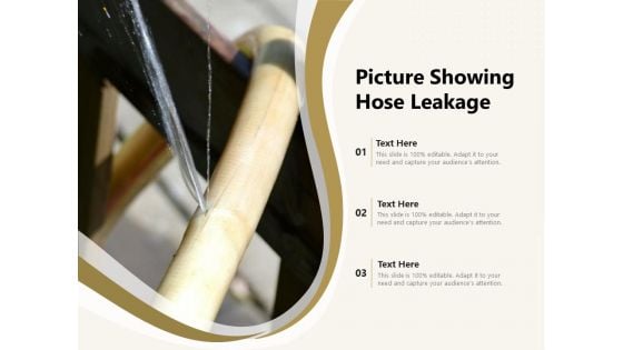 Picture Showing Hose Leakage Ppt PowerPoint Presentation Model Show PDF