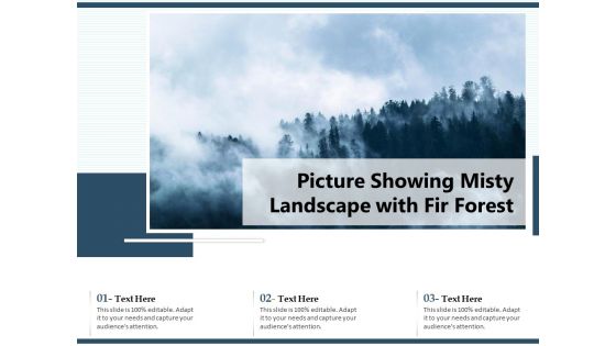 Picture Showing Misty Landscape With Fir Forest Ppt PowerPoint Presentation Infographic Template Slide PDF