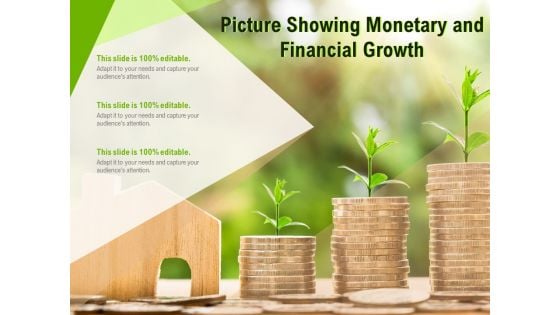 Picture Showing Monetary And Financial Growth Ppt PowerPoint Presentation File Topics