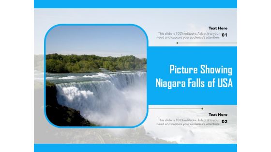 Picture Showing Niagara Falls Of USA Ppt PowerPoint Presentation Summary PDF