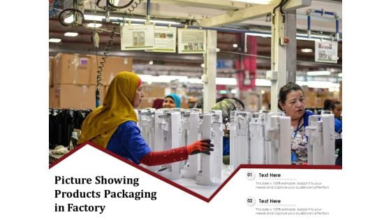 Picture Showing Products Packaging In Factory Ppt PowerPoint Presentation Icon Shapes PDF