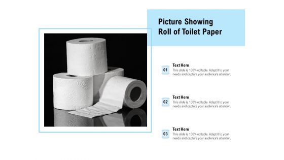 Picture Showing Roll Of Toilet Paper Ppt PowerPoint Presentation Outline Portrait PDF