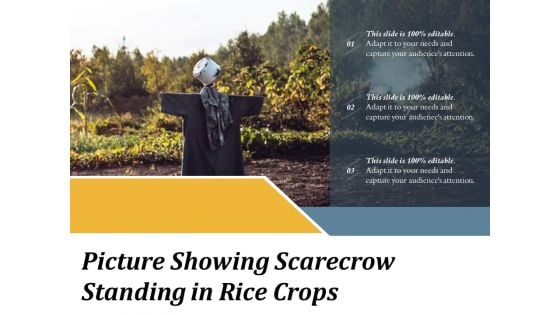 Picture Showing Scarecrow Standing In Rice Crops Ppt PowerPoint Presentation Show Icon PDF