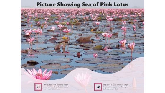 Picture Showing Sea Of Pink Lotus Ppt PowerPoint Presentation File Graphics Download PDF