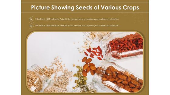 Picture Showing Seeds Of Various Crops Ppt PowerPoint Presentation Show Format Ideas PDF