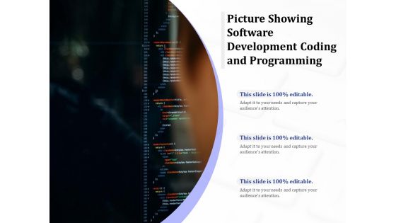 Picture Showing Software Development Coding And Programming Ppt PowerPoint Presentation Professional Design Ideas PDF
