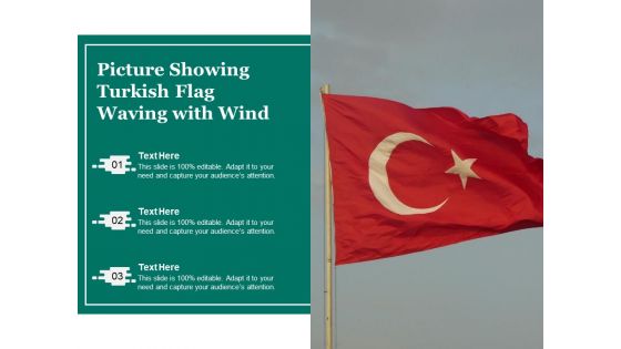 Picture Showing Turkish Flag Waving With Wind Ppt PowerPoint Presentation File Portfolio PDF