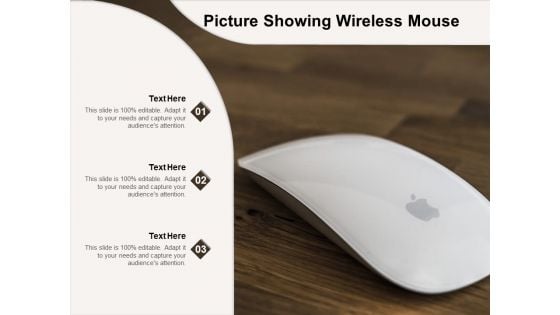 Picture Showing Wireless Mouse Ppt PowerPoint Presentation Professional Portrait PDF