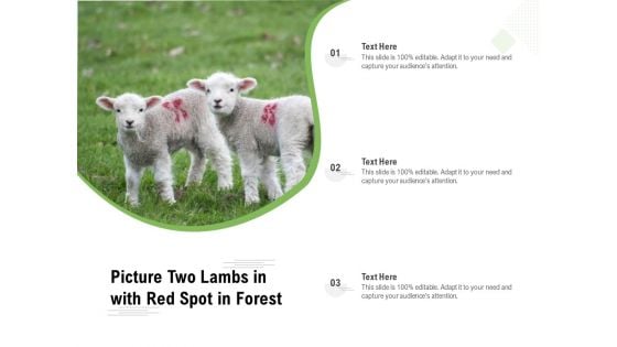 Picture Two Lambs In With Red Spot In Forest Ppt PowerPoint Presentation Icon Background Images PDF