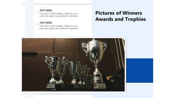 Pictures Of Winners Awards And Trophies Ppt PowerPoint Presentation Infographics Templates PDF