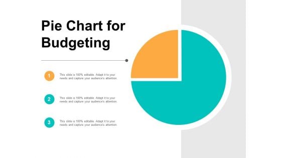 Pie Chart For Budgeting Ppt PowerPoint Presentation Pictures Vector