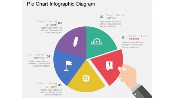 Pie Chart Infographic Diagram Powerpoint Templates