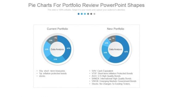 Pie Charts For Portfolio Review Powerpoint Shapes