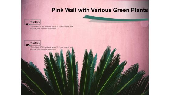 Pink Wall With Various Green Plants Ppt PowerPoint Presentation Styles Graphic Tips PDF