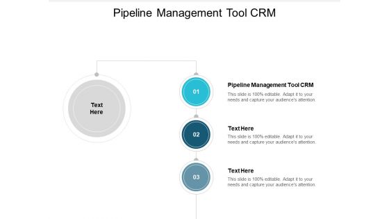 Pipeline Management Tool CRM Ppt PowerPoint Presentation Summary Picture Cpb