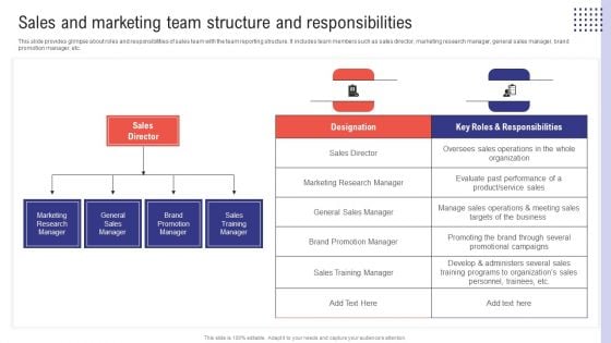 Planning Sales Campaign To Improve Sales And Marketing Team Structure And Responsibilities Download PDF