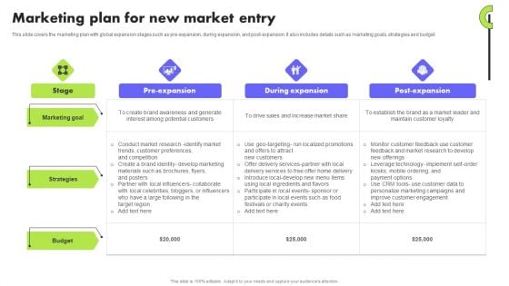 Planning Transnational Technique To Improve International Scope Marketing Plan For New Market Entry Designs PDF