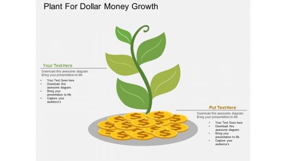 Plant For Dollar Money Growth Powerpoint Template