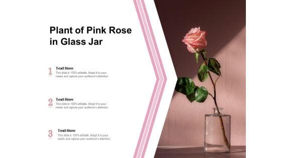 Plant Of Pink Rose In Glass Jar Ppt PowerPoint Presentation Icon Show PDF