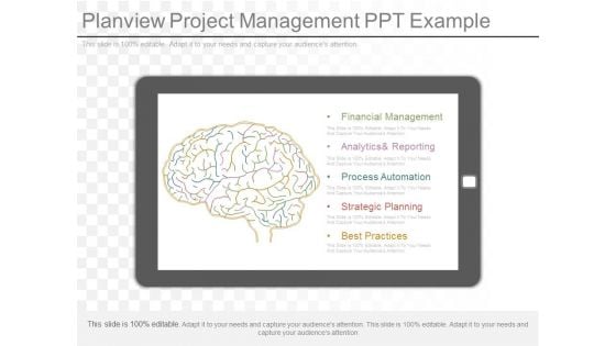 Planview Project Management Ppt Example