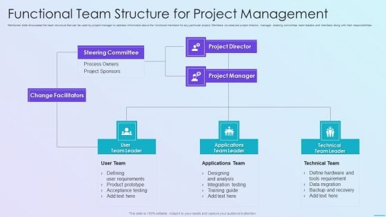 Playbook For Application Developers Functional Team Structure For Project Management Rules PDF