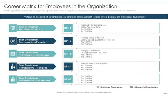 Playbook For Sales Development Executives Career Matrix For Employees In The Organization Graphics PDF