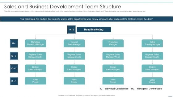 Playbook For Sales Development Executives Sales And Business Development Team Structure Themes PDF