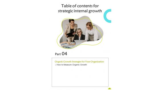Playbook For Strategic Internal Growth Template