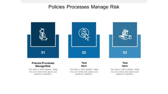 Policies Processes Manage Risk Ppt PowerPoint Presentation Styles Show Cpb