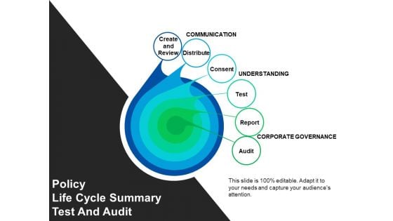 Policy Life Cycle Summary Test And Audit Ppt PowerPoint Presentation File Background Images