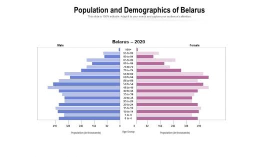 Population And Demographics Of Belarus Ppt PowerPoint Presentation Layouts Structure