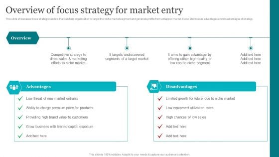 Porters Strategies For Targeted Client Segment Overview Of Focus Strategy For Market Entry Elements PDF