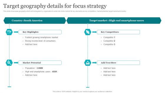 Porters Strategies For Targeted Client Segment Target Geography Details For Focus Strategy Elements PDF